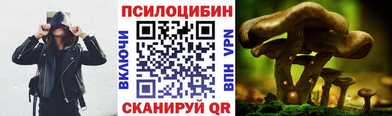 Галлюциногенные грибы Cubensis  Купить закладки  Яранск 
